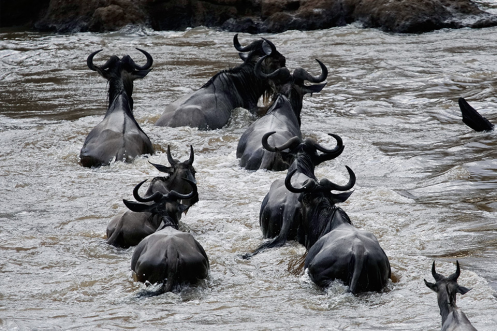 索尼微单a6500 玩转旅途精彩_中国江苏网
