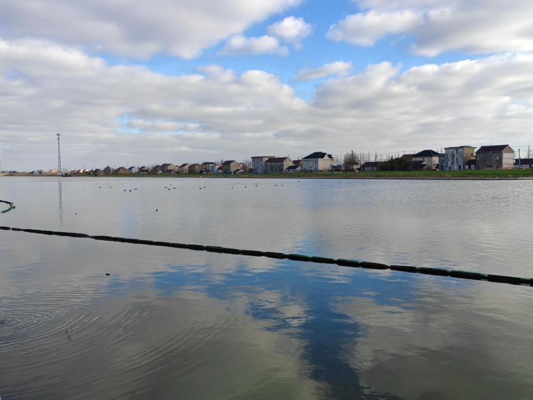 江苏启东高新区(近海镇):强化入河排口整治,推进水